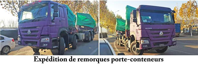Camion Porte Container Avec Grue Remorque À Vendre In Vanuatu